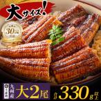 ふるさと納税 福智町 国産うなぎ蒲焼2尾(計330g以上)鰻蒲焼用タレ・山椒付