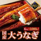 ショッピングうなぎ 国産 ふるさと納税 福智町 国産うなぎ蒲焼6尾(計1000g以上)鰻蒲焼用タレ・山椒付