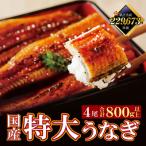 ショッピング国産 ふるさと納税 福智町 国産うなぎ蒲焼特4尾(計800g以上)鰻蒲焼用タレ・山椒付