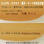 小判弁当 小 名前入り