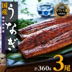 ショッピングうなぎ ふるさと納税 大崎町 おおさきうなぎ(鹿児島県産うなぎ長蒲焼)3尾セット