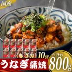 ふるさと納税 薩摩川内市 国産 うなぎ蒲焼(きざみ)計800g(80g×10袋) 【数量限定】 鰻 蒲焼　BS-611