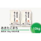 ふるさと納税 大石田町 米 10kg 5kg×2袋 あきたこまち 令和5年産 山形県産 無洗米 ob-akxxa10-m