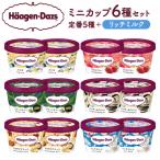 ふるさと納税 浜中町 ハーゲンダッツ『ミニカップ12個セット(定番フレーバー&リッチミルク味)』_440303