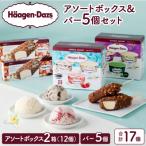 ふるさと納税 浜中町 ハーゲンダッツバラエティセット(アソート&バー5本)_H0026-028