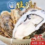 ふるさと納税 気仙沼市 【TVで紹介!】 牡蠣 3〜4年モノ 生食 殻付き牡蠣 3.5kg(約16-17個入)