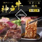 ふるさと納税 加西市 神戸牛 サーロインステーキ 焼肉カルビ お試しセット 800g 牛肉[No5698-1139]