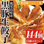ふるさと納税 いちき串木野市 鹿児島黒豚生餃子(黒胡椒にんにく味)合計144個(12個×12P)国産野菜使用!