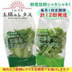 fu.... налог страна восток город каждый месяц доставка!.... солнце. lettuce установленный срок рейс / итого 12 раз отправка _2121R