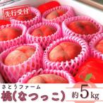 ふるさと納税 三条市 先行受付 桃 (なつっこ) 5kg 令和8年度 新潟県産 桃 [さとうファーム] 【020S029】
