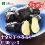 fu.... налог три статья город предшествующий прием 10 все ... ...(300g×3) Niigata префектура три статья город производство [010P049]