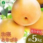 ふるさと納税 三条市 先行受付 和梨 あきづき 約5kg 令和8年度 新潟県【016P021】