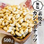 ふるさと納税 碧南市 【直火式】無塩で素焼きのカシューナッツ 無添加 500g　H059-110