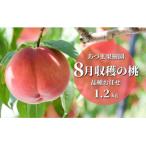 ショッピングふるさと納税 桃 ふるさと納税 福島市 もも　8月収穫の桃　約1.2kg【2024年発送】No.2328