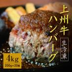 ふるさと納税 みどり市 生冷凍 上州牛ハンバーグ4kg(200g×20個)【195】