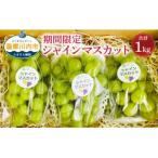 ふるさと納税 薩摩川内市 【数量限定】【先行受付】シャインマスカット 計1kg マスカット ぶどう AS-2239