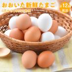 ふるさと納税 国東市 おおいた新鮮たまご4月から1年間定期便/計12回発送_1327R