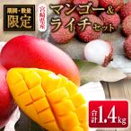 ふるさと納税 宮崎県 ◇宮崎県産 マンゴー&ライチセット(合計約1.4kg)