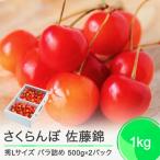 ふるさと納税 大石田町 さくらんぼ 佐藤錦 秀Lサイズ 1kg(500g×2パック) バラ詰め 2025年産 山形県産