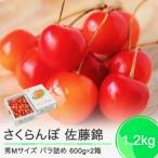 ふるさと納税 大石田町 さくらんぼ 佐藤錦 秀Mサイズ 1.2kg(600g×2箱) バラ詰め 2024年産 山形県産