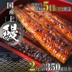 ふるさと納税 境町 【5日以内に発送】国産 うなぎ 蒲焼 2尾(350g以上) タレ 山椒付き