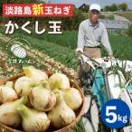 ふるさと納税 淡路市 【新たまねぎ】今井ファームの淡路島たまねぎ「かくし玉」 5kg【発送時期2024年4月下旬〜5月頃】