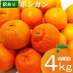 ショッピングさとふる ふるさと納税 室戸市 【ご家庭用】訳ありポンカン 詰め合わせ　4kg