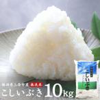 ショッピングふるさと納税 無洗米 ふるさと納税 三条市 無洗米 こしいぶき 10kg 令和7年産 新潟県三条市産米 [外山敏雄商店]【010S254】