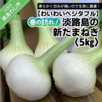 ふるさと納税 南あわじ市 【わいわいベジタブル】春の訪れ!淡路島の新たまねぎ(5kg)