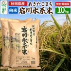 あきたこまち 岩川水系米 10kg令和7年産