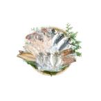 干物 セット 大 1236 山長水産 金目たい