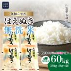 ショッピングふるさと納税 無洗米 ふるさと納税 大蔵村 令和5年産 はえぬき【無洗米】60kg定期便(20kg×3回)　山形県大蔵村