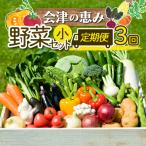 3市町村共通返礼品 会津の恵み野菜セット