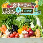 3市町村共通返礼品 会津の恵み野菜セット