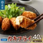 ふるさと納税 呉市 高田水産 「情の雫」冷凍かきフライ 10個×4パック ku010-005-r
