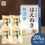 ショッピングふるさと納税 無洗米 ふるさと納税 鮭川村 令和5年産 鮭川村 はえぬき 【無洗米】 20kg (5kg×4袋)