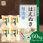 ショッピングふるさと納税 無洗米 ふるさと納税 鮭川村 <令和5年産米>はえぬき【無洗米】定期便60kg(20kg×3回)山形県 鮭川村