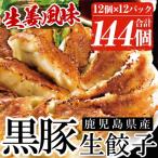 ふるさと納税 いちき串木野市 鹿児島黒豚生餃子(生姜風味) 計144個(12個×12P) タレ付き!国産野菜使用!