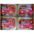 ショッピングふるさと納税 さくらんぼ ふるさと納税 上山市 さくらんぼ(紅秀峰)800g　0017-2404