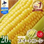 ふるさと納税 芽室町 【7月下旬〜9月頭頃発送予定】北海道芽室町 スイートコーン20本 イエロー me002-014