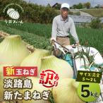 ふるさと納税 淡路市 【新たまねぎ】【訳アリ品】今井ファームの淡路島たまねぎ 5kg【サイズ混合S〜2L】