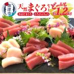 ショッピング配送日指定 ふるさと納税 焼津市 天然 まぐろ セット(とろびんちょう・きはだまぐろ) 約1.2kg(a10-908)