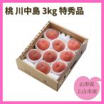 ふるさと納税 上山市 桃(川中島)3kg 特秀品 0055-2511