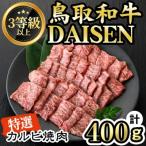 ふるさと納税 境港市 鳥取和牛DAISEN特撰カルビ焼肉(400g)
