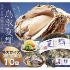 ふるさと納税 鳥取市 天然岩牡蠣(活)夏輝 350g-450g前後(特大サイズ) 10個セット(いまる)