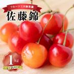 ふるさと納税 余市町 2025年発送【先行受付】佐藤錦【L〜2L】500g×2 【ニトリ観光果樹園】_Y074-0112