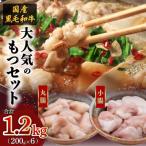 ふるさと納税 鹿児島市 黒毛和牛!大人気のもつ(ホルモン)セット　K002-006