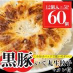 ふるさと納税 肝付町 肝付町産　黒豚のいて丸餃子　合計60個(たれ付)　P43002