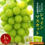 ショッピングふるさと納税 シャインマスカット ふるさと納税 宇佐市 【先行受付】シャインマスカット 1kg 2房 【106300100】