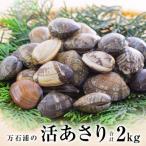 fu.... налог камень шт город камень шт * десять тысяч камень .. ....(2kg) молодь жёсткой ракушки ... натуральный .plipli гарнир тест .. песок вытащенный 